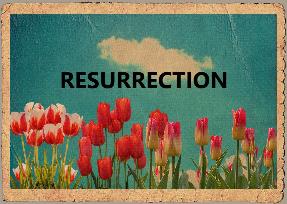 Resurrection-a poem by Cynthia