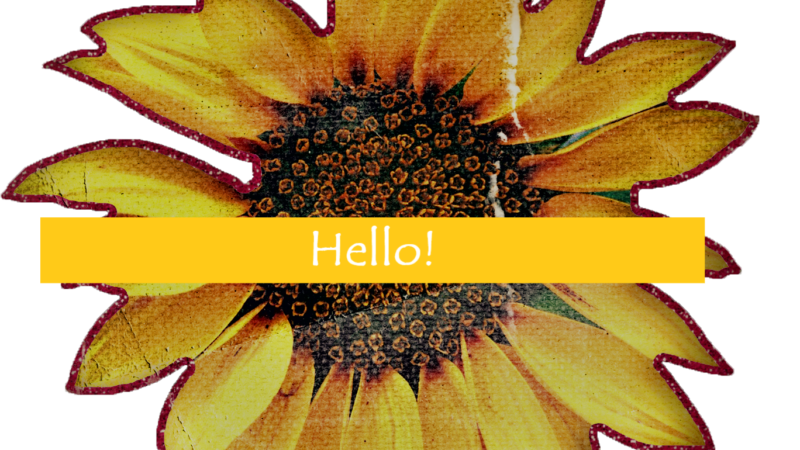 Hello Sunflowers!