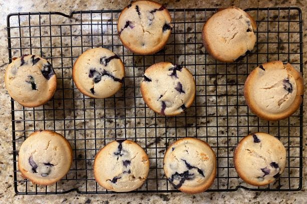Fast and Fresh Blueberry Muffins